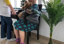 Centre Plasament Afumati Camin Varstnici Afumati - Caminul de batrani Adina