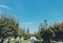 Centre Plasament Moara Vlasiei Camin Batrani Moara Vlasiei - CAMINUL MIHAELA