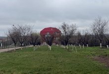 Centre Plasament Barcanesti Azil Batrani Camin Varstnici Barcanesti - Camin Adina