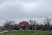 Centre Plasament Dascalu Camin Varstnici Dascalu - Camin Adina